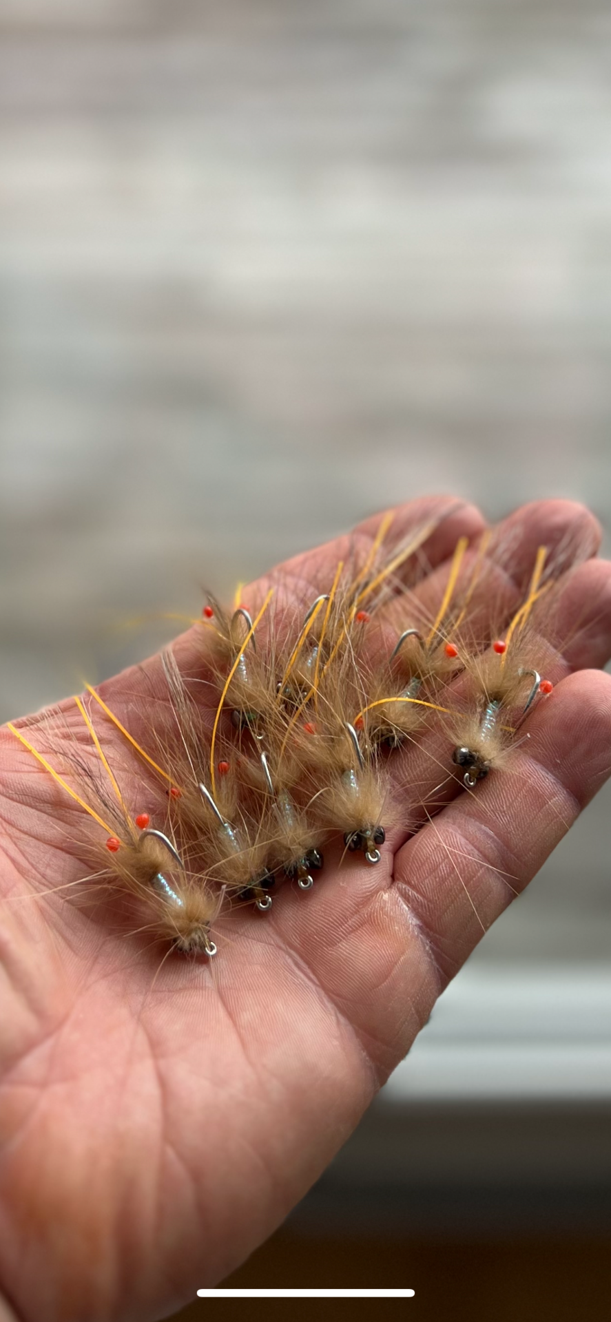 Nutria Bonefish shrimp