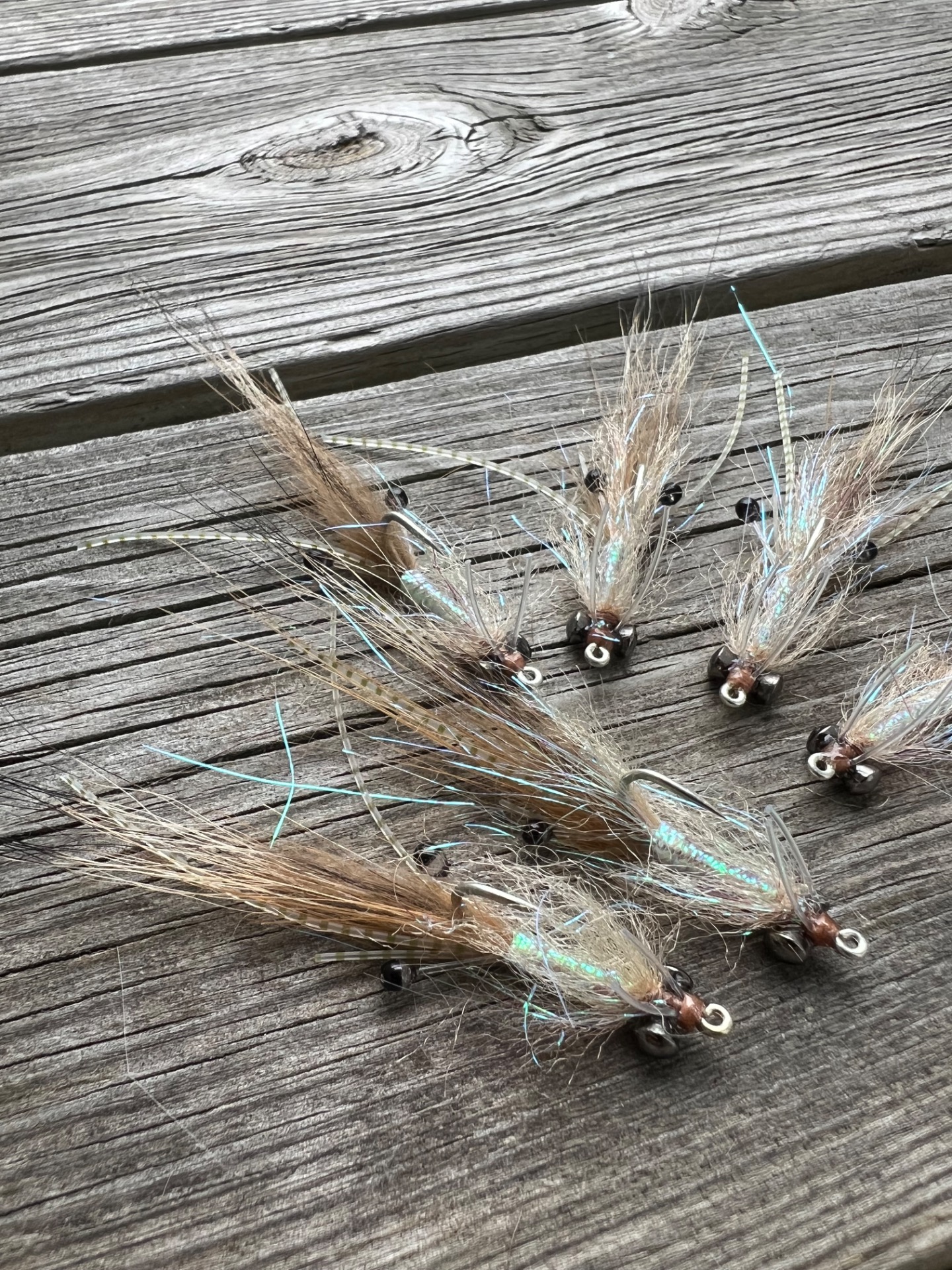 Ep bonefish shrimp