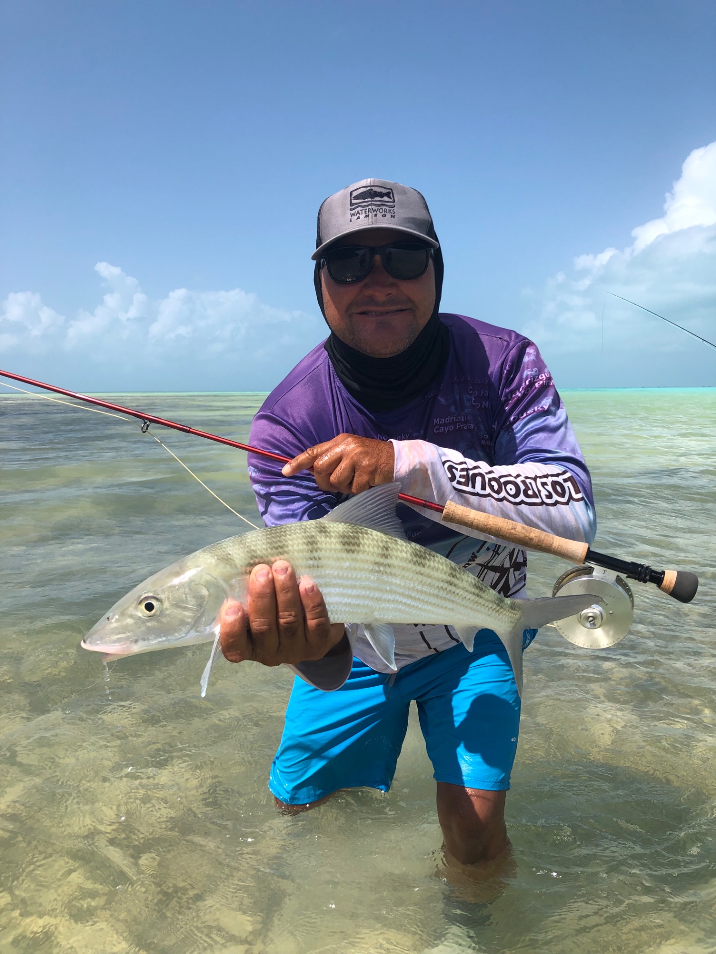 Bonefish from Los Roques. Orange flexo crab