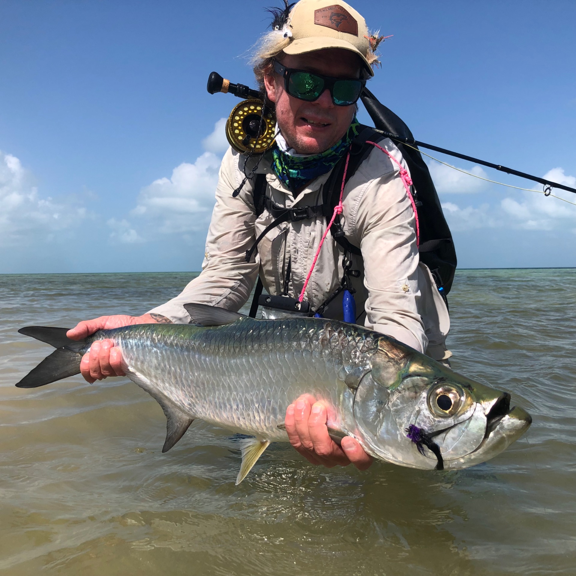 Baby tarpon from Los Roques. Black and purple toad.