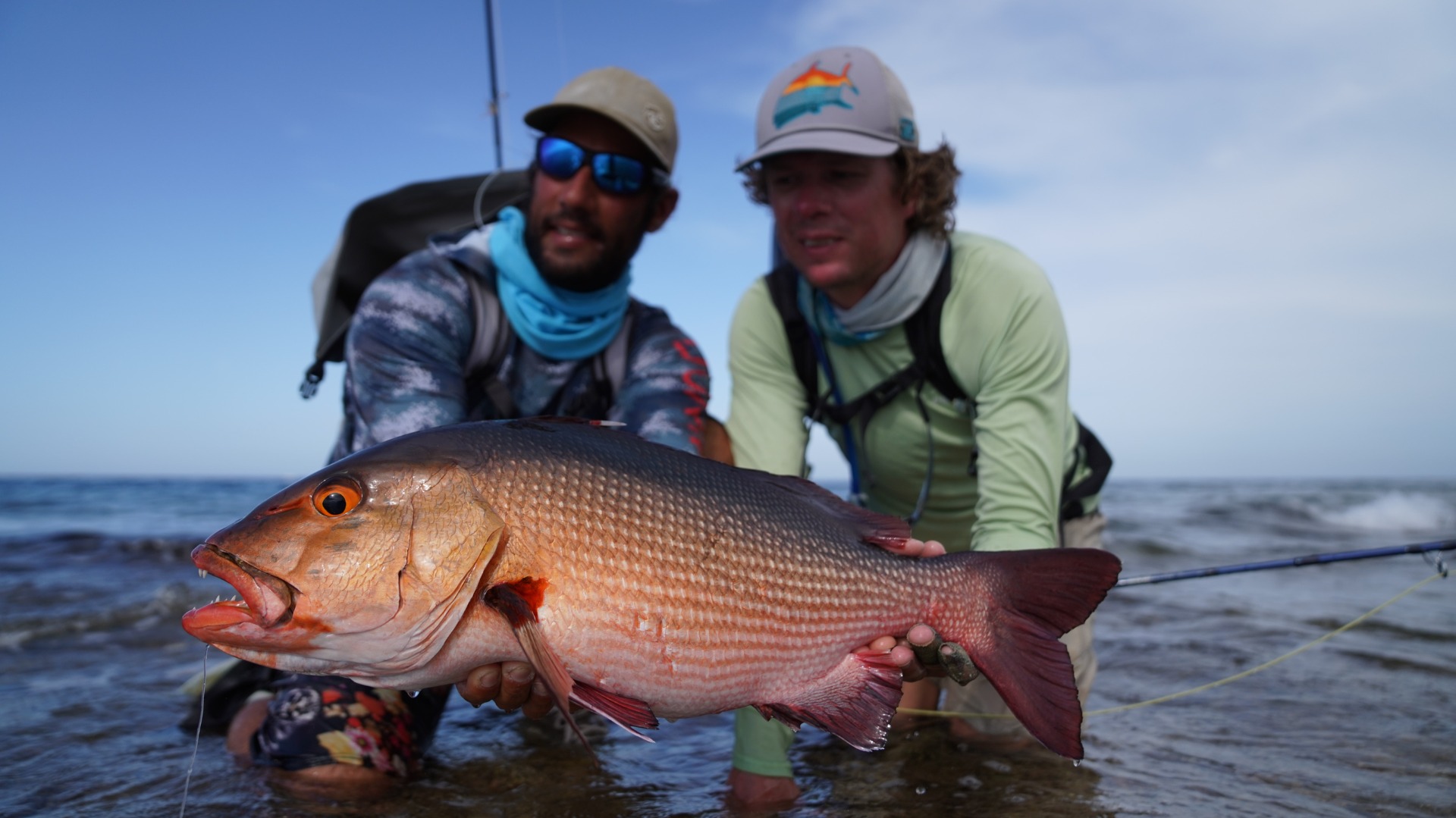 Bohar snapper from Sudan. Black n red brush fly