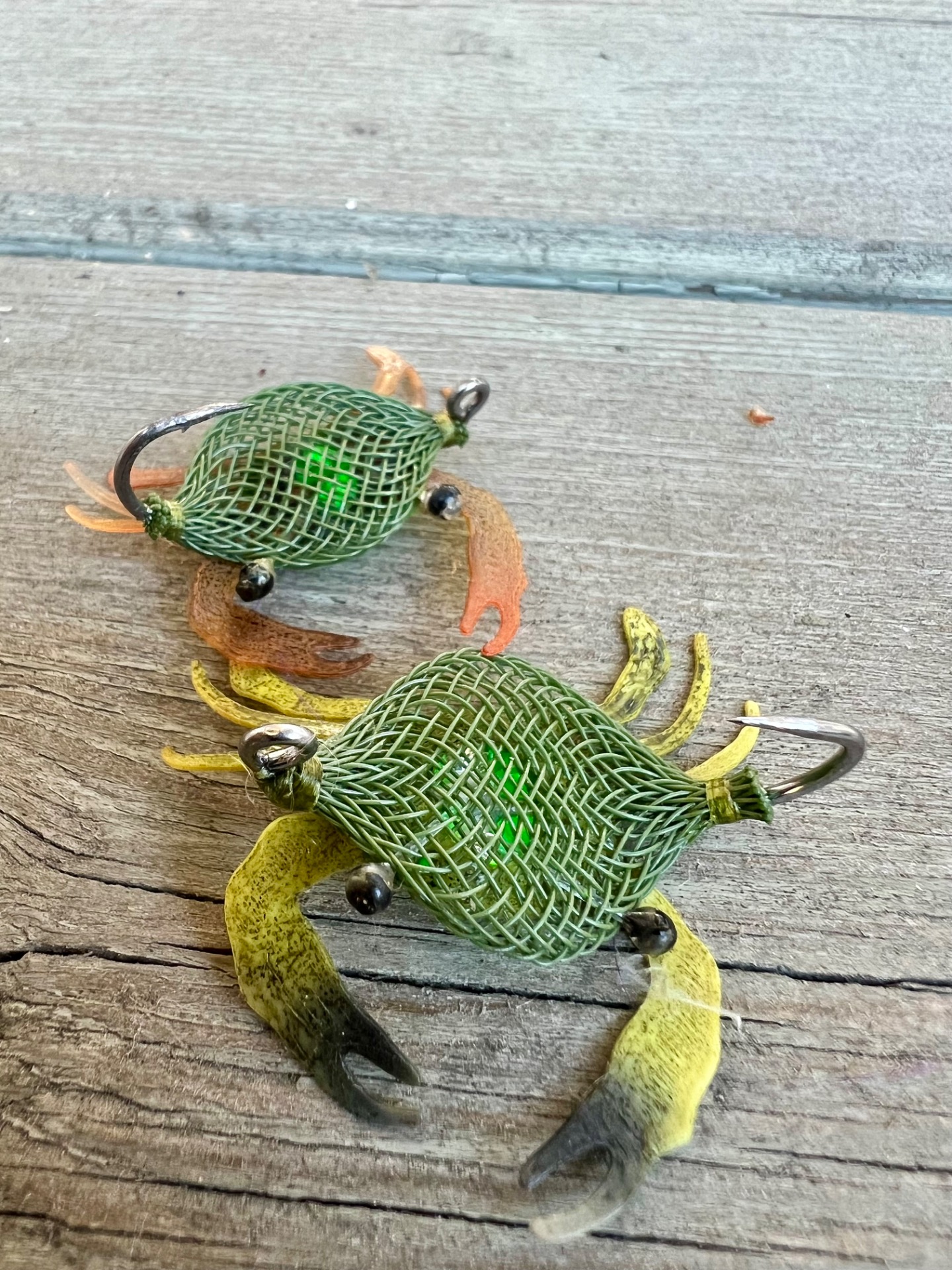 Flexo Sargasso crab, olive.