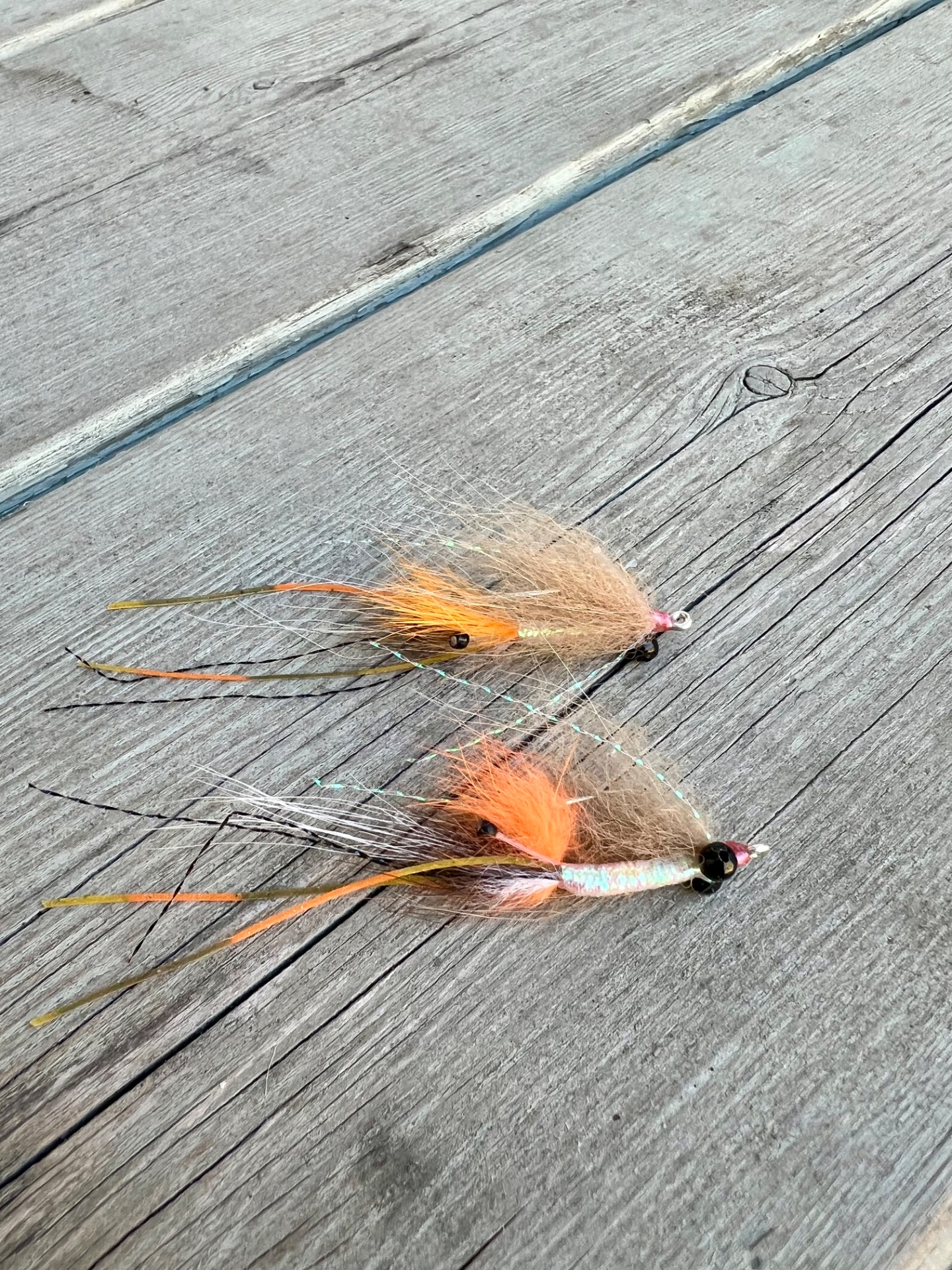 Spawning shrimp w/black eyes.