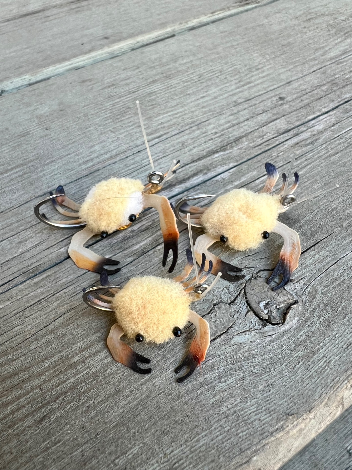 Sargossa Bauer crab. 