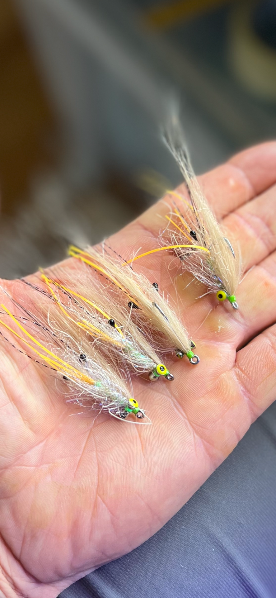 Bonefish shrimp Conchpile