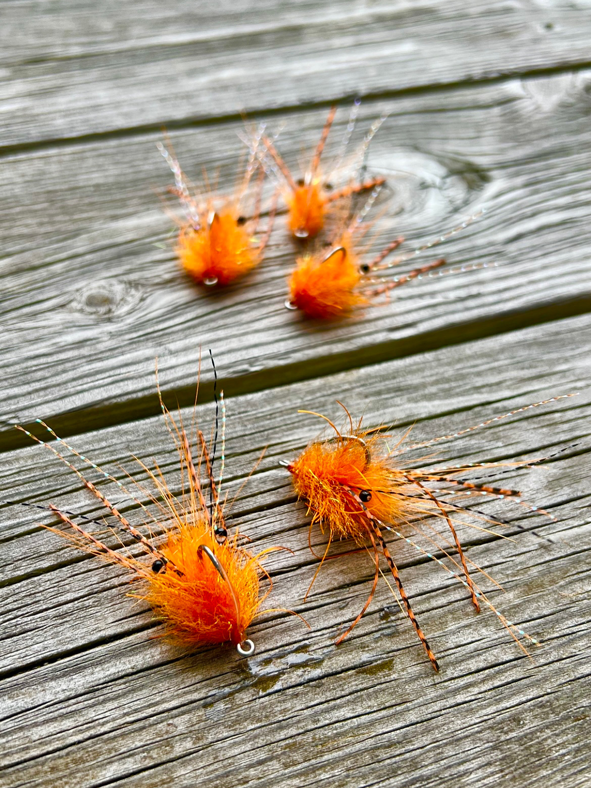 No name critter, orange.